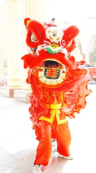 Lion dance costume