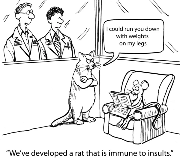 Cartoon illustration.  Rat has immune to insults