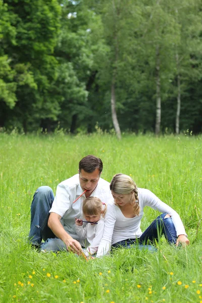 Young family on the nature