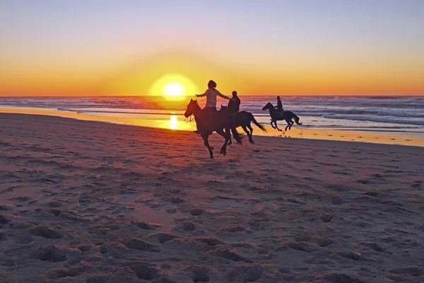 Horse riding  on  beach