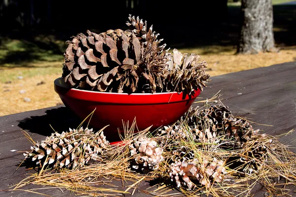 Pine Cone in Red Dish