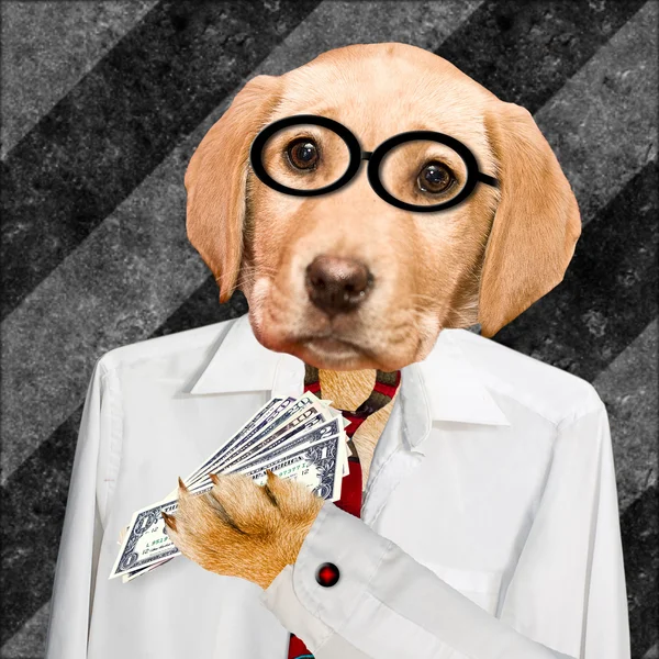 Humorous Dog Holding Money