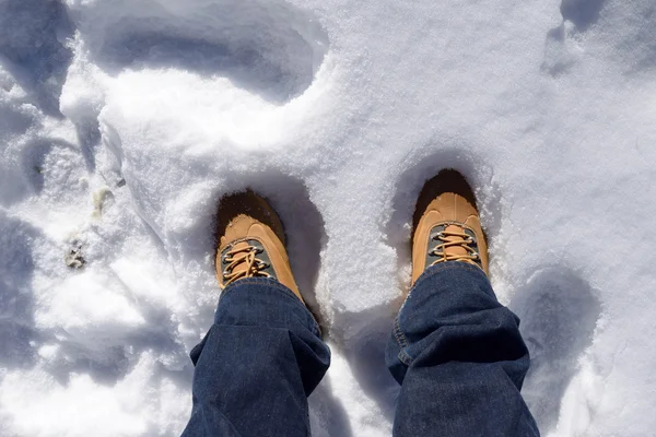 Snow boot in snow