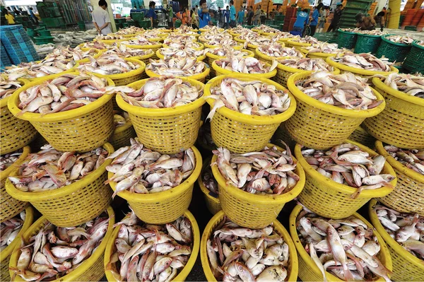 SAMUTSAKORN, THAILAND-SEPTEMBER 17, 2009: Talaythai seafood mark