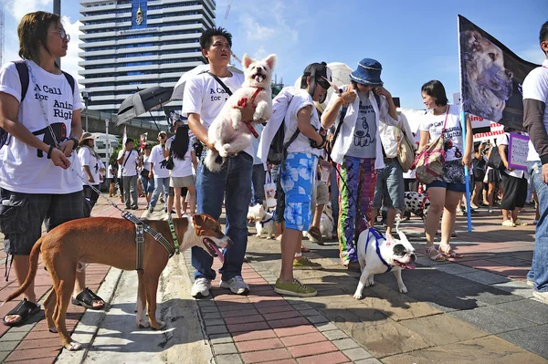 BANGKOK, THAILAND APRIL 9:Organized rally protect of dog eating