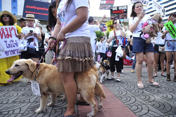 BANGKOK, THAILAND APRIL 9:Organized rally protect of dog eating