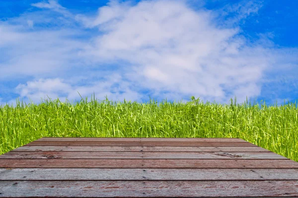 Wood textured backgrounds in room interior on the sky field bac