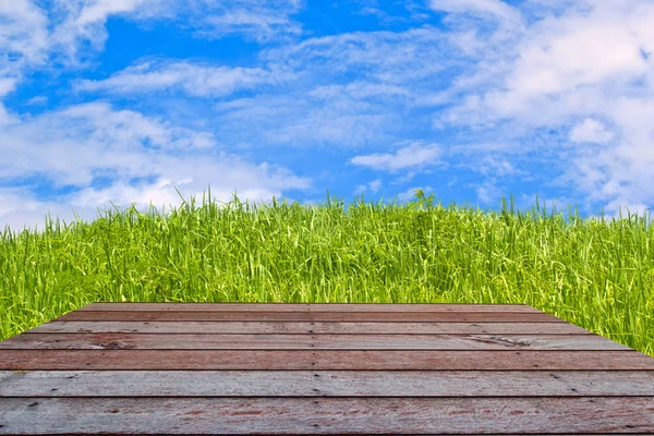 Wood textured backgrounds in room interior on the sky field bac