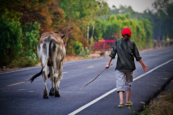 Way of life Countryside in thailand