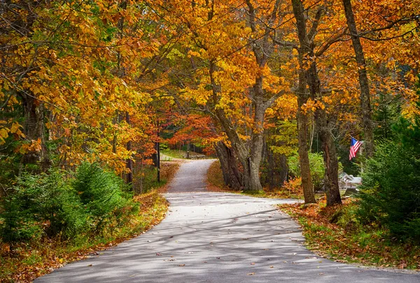 Winding country road in autumn