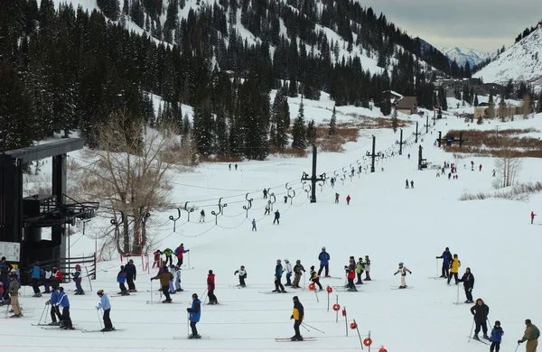Connection ski lift between Alta and Snowbird ski resorts in Utah