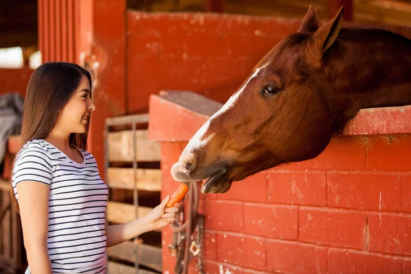 Girl feeding a horse in a ranch