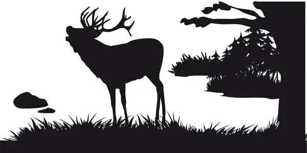 Deer with deer grazing in the forest - black and white silhouette