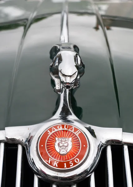 Classic Jaguar grille