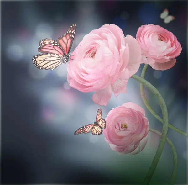 Bouquet of pink roses against a dark background butterfly