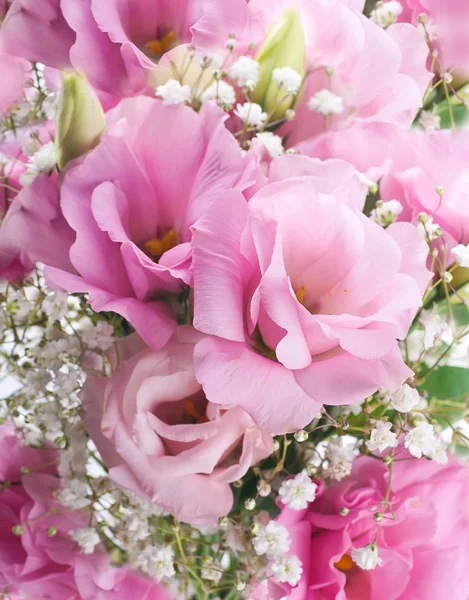 Bouquet of pink roses, floral background