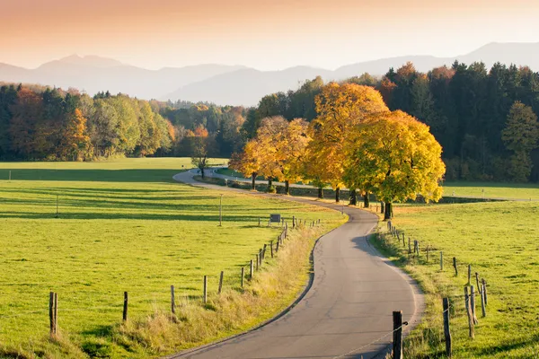 Winding Country Road through autumnal Landscape