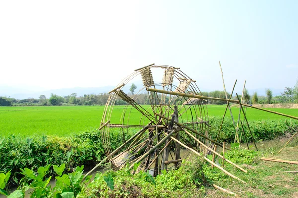 Bamboo water wheel