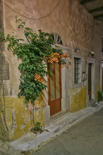 House doors and flower, scenic night view, Greece