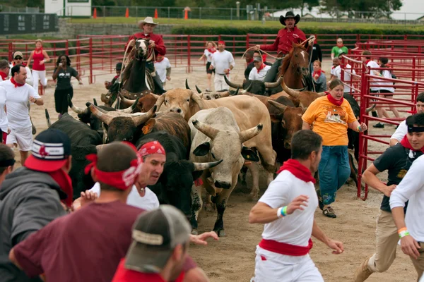 Several People Run With The Bulls At Georgia Event