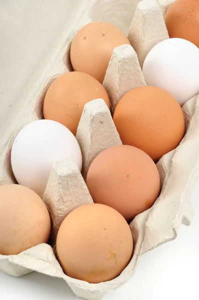 Fresh eggs in an egg carton