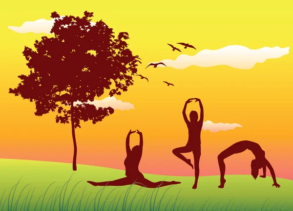 silueta de tres mujeres hacer ejercicios de gimnasia en campo de verano cerca de cielo árbol, amarillo. silueta de tres mujeres hacer ejercicios de gimnasia en campo de verano cerca de cielo árbol, amarillo.