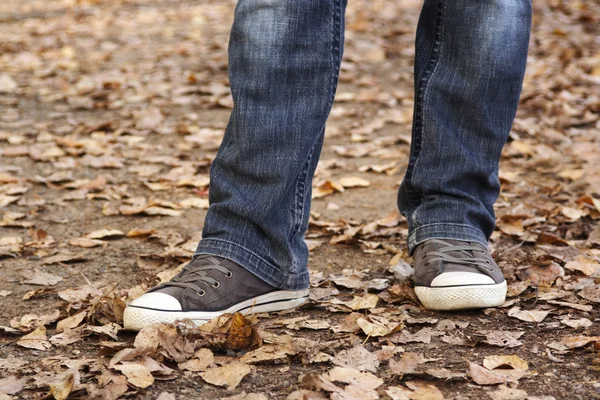 Closeup of woman\'s legs in jeans and sneakers, outdoor in autumn