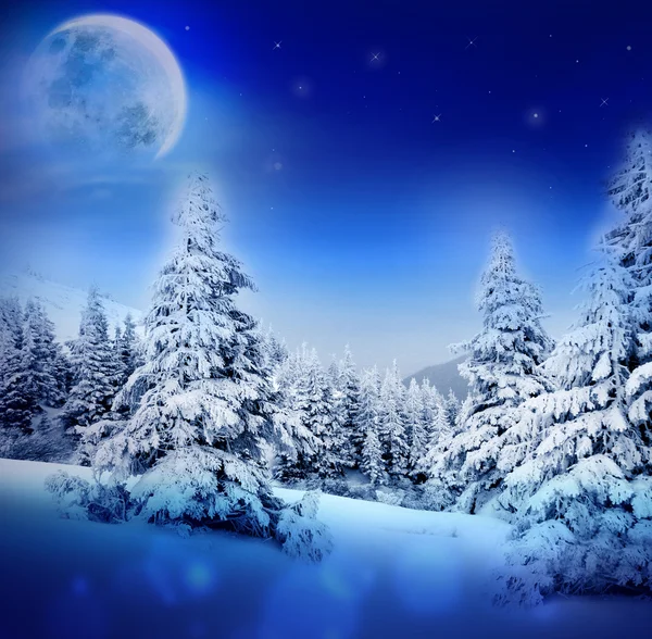 Winter night in fairy snowy fir forest with moon and starry sky. Christmas tree, winter mountains landscape. Can be used as Christmas or New Year card or greeting.