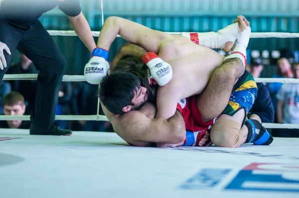 Volga Federal District Championship in mixed martial arts...