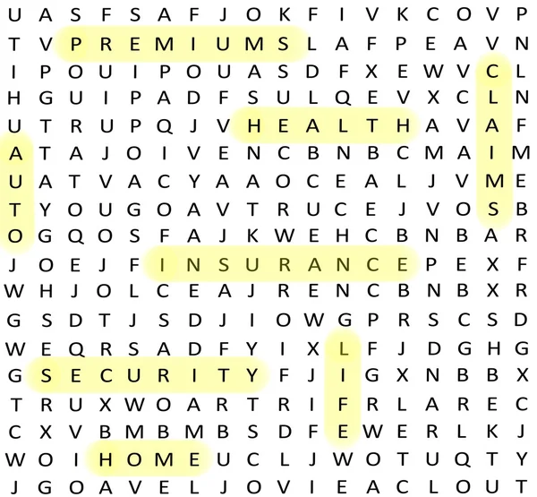 Insurance terms Word Search
