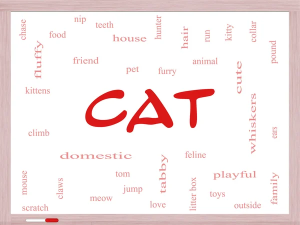 Cat Word Cloud Concept on a Dry Erase Board