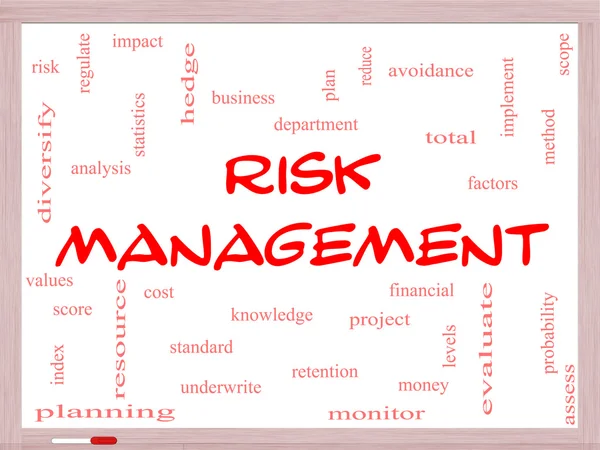 Risk Management Word Cloud Concept on a Whiteboard