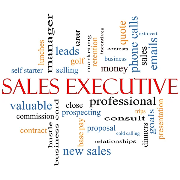 Sales Executive Word Cloud Concept