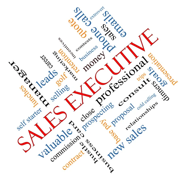 Sales Executive Word Cloud Concept Angled