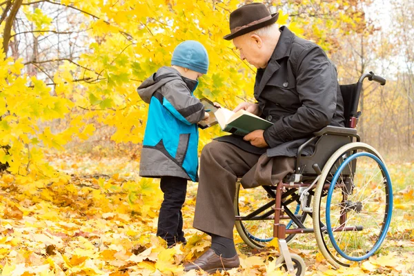 Young child with his disabled grandfather