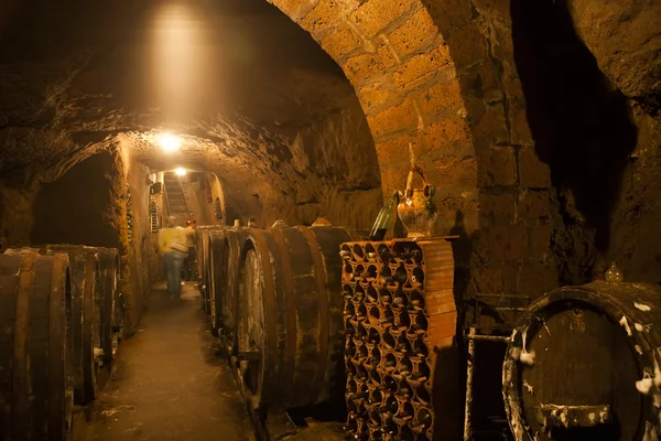 Wine cellar at the Rein river, Germany — Stock Photo #12241518