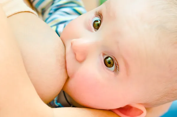 Beautiful baby is fed mother\'s milk looking at camera