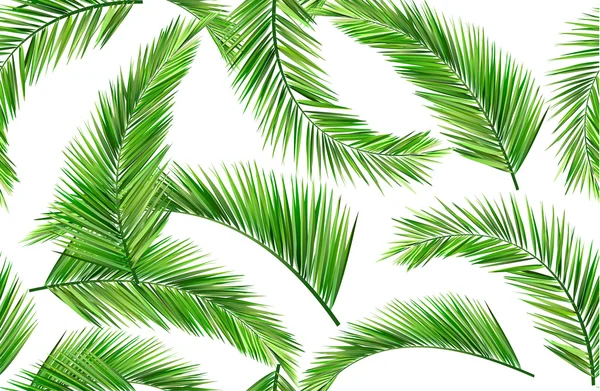 Palm leaves