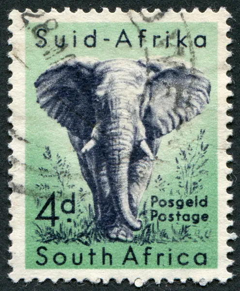 SOUTH AFRICA-CIRCA 1954: A stamp printed in the South Afric