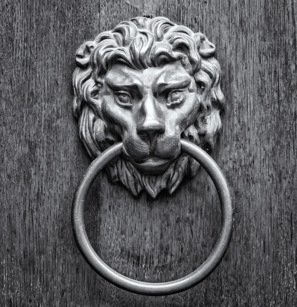 Door handle in the form of a lion\'s head. Stylized film. Black and white. Toning. Large grains