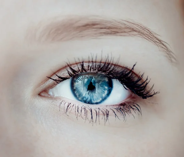 Human eye close-up.