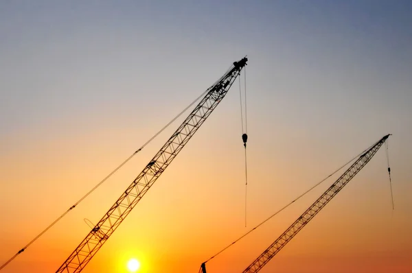 Industrial construction cranes and building silhouettes over sun