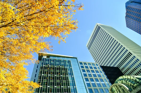 Looking up at tall skyscrapers during fall season