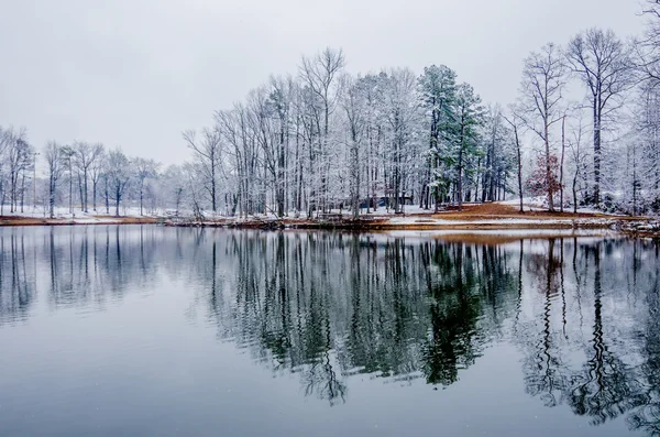 Tree line reflections in lake during winter snow storm