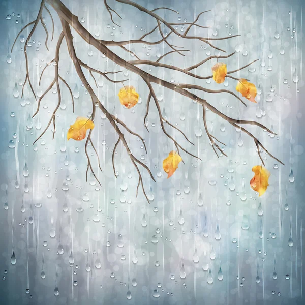 Autumn season rainy weather artistic design. Tree branch, yellow leaves, transparent water drops on foggy gray blur natural wallpaper background. Beautiful wet autumn fall realistic vector landscape