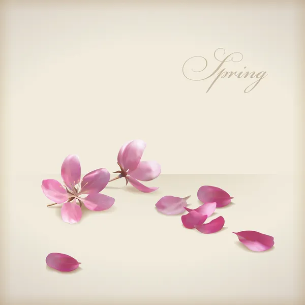 Floral vector cherry blossom flowers spring design. Pink flowers, freshly fallen petals and text 'Spring' on a beige background in modern style. Can be used as wedding, greeting or invitation card