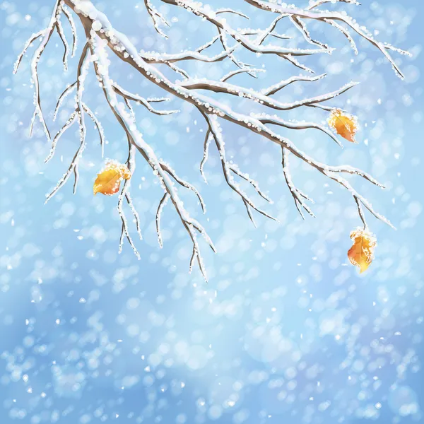 Winter background with snow-covered frozen tree brunches, last autumn leaves, snowfall on a blue bokeh backdrop. Snowy weather vector design. Christmas winter landscape greeting card