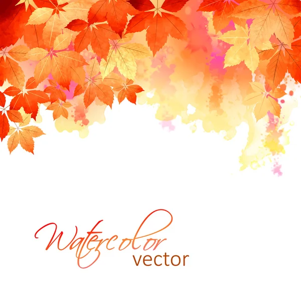 Autumn Vector Watercolor Fall Leaves
