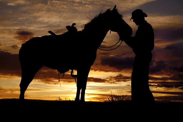 Cowboy horse sunset stand