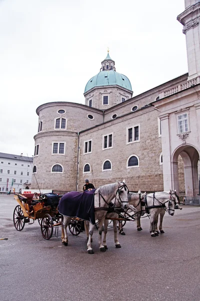 Salzburg Carriage Horses